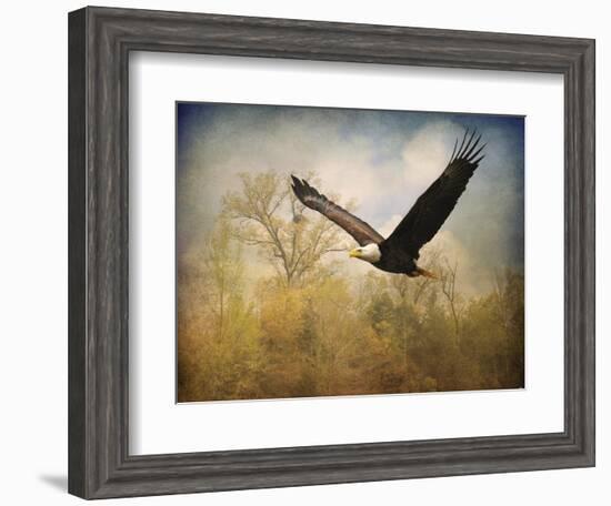 Monarch of the Skies Bald Eagle-Jai Johnson-Framed Giclee Print