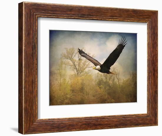 Monarch of the Skies Bald Eagle-Jai Johnson-Framed Giclee Print