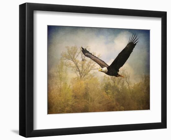 Monarch of the Skies Bald Eagle-Jai Johnson-Framed Giclee Print