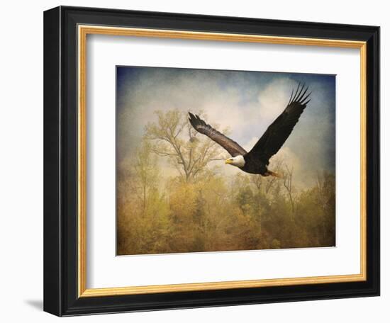Monarch of the Skies Bald Eagle-Jai Johnson-Framed Giclee Print
