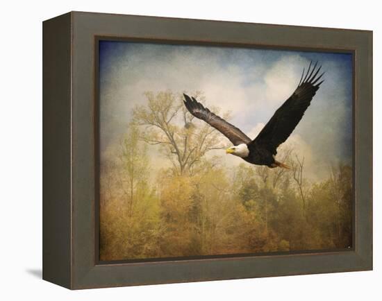 Monarch of the Skies Bald Eagle-Jai Johnson-Framed Premier Image Canvas