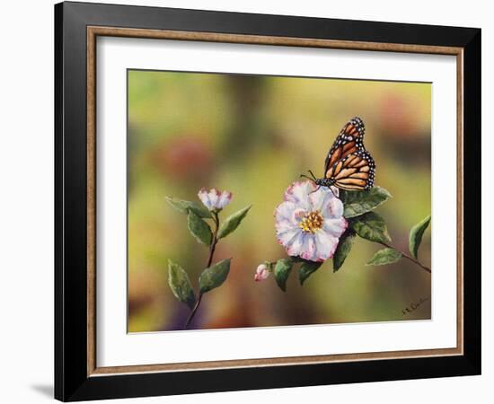 Monarch with Camellia-Sarah Davis-Framed Giclee Print