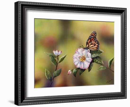 Monarch with Camellia-Sarah Davis-Framed Giclee Print
