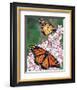 Monarch-Marilyn Barkhouse-Framed Art Print