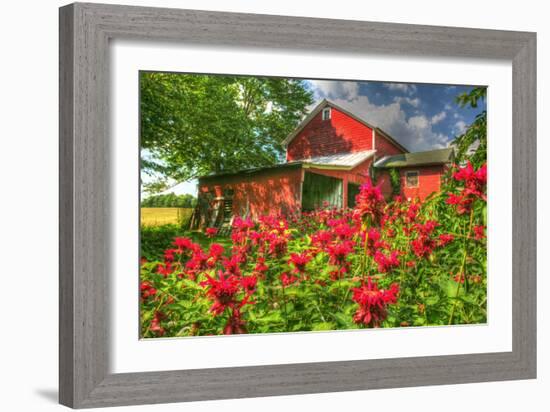 Monarda and Red Barn-Robert Goldwitz-Framed Photographic Print