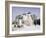 Monastery of the Christian St. Sergius Cathedral of the Assumption in Snow, Moscow Area, Russia-Gavin Hellier-Framed Photographic Print