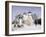 Monastery of the Christian St. Sergius Cathedral of the Assumption in Snow, Moscow Area, Russia-Gavin Hellier-Framed Photographic Print