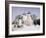 Monastery of the Christian St. Sergius Cathedral of the Assumption in Snow, Moscow Area, Russia-Gavin Hellier-Framed Photographic Print