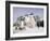 Monastery of the Christian St. Sergius Cathedral of the Assumption in Snow, Moscow Area, Russia-Gavin Hellier-Framed Photographic Print