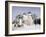 Monastery of the Christian St. Sergius Cathedral of the Assumption in Snow, Moscow Area, Russia-Gavin Hellier-Framed Photographic Print