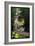 Monceau Park-Claude Monet-Framed Art Print