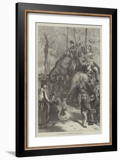 Monday Afternoon at the Zoological Society's Gardens-Charles Joseph Staniland-Framed Giclee Print