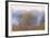 Monet 2-Donald Satterlee-Framed Giclee Print