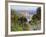 Monet: Bordighera, 1884-Claude Monet-Framed Giclee Print