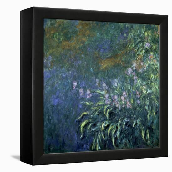 Monet: Irises By The Pond-Claude Monet-Framed Premier Image Canvas