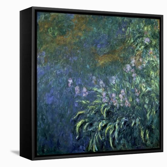 Monet: Irises By The Pond-Claude Monet-Framed Premier Image Canvas