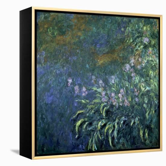 Monet: Irises By The Pond-Claude Monet-Framed Premier Image Canvas