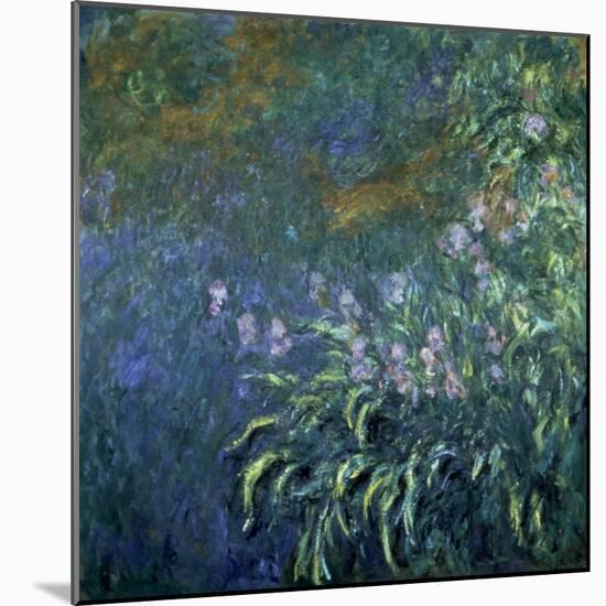Monet: Irises By The Pond-Claude Monet-Mounted Giclee Print