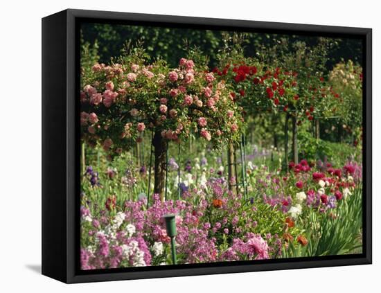Monet's Garden, Giverny, Haute Normandie, France, Europe-Ken Gillham-Framed Premier Image Canvas