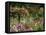 Monet's Garden, Giverny, Haute Normandie, France, Europe-Ken Gillham-Framed Premier Image Canvas