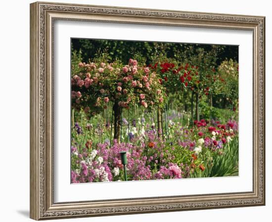 Monet's Garden, Giverny, Haute Normandie, France, Europe-Ken Gillham-Framed Photographic Print