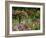 Monet's Garden, Giverny, Haute Normandie, France, Europe-Ken Gillham-Framed Photographic Print