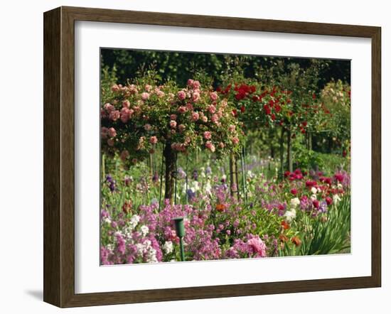 Monet's Garden, Giverny, Haute Normandie, France, Europe-Ken Gillham-Framed Photographic Print