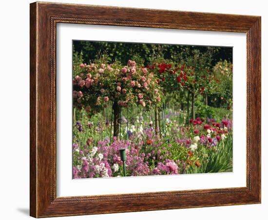 Monet's Garden, Giverny, Haute Normandie, France, Europe-Ken Gillham-Framed Photographic Print