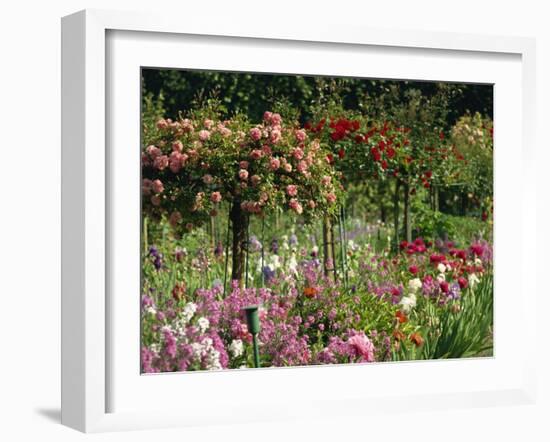 Monet's Garden, Giverny, Haute Normandie, France, Europe-Ken Gillham-Framed Photographic Print