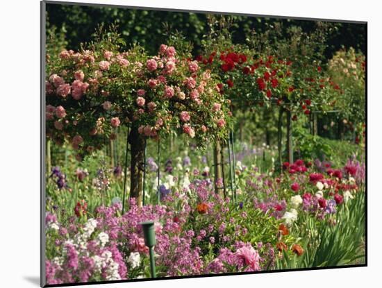 Monet's Garden, Giverny, Haute Normandie, France, Europe-Ken Gillham-Mounted Photographic Print