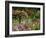 Monet's Garden, Giverny, Haute Normandie, France, Europe-Ken Gillham-Framed Photographic Print