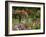 Monet's Garden, Giverny, Haute Normandie, France, Europe-Ken Gillham-Framed Photographic Print