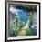 Monet's Garden-Malva-Framed Giclee Print