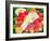 Monet's Waterlilies, 1996-Frances Broomfield-Framed Giclee Print