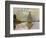 Monet: Sailboat-Claude Monet-Framed Premium Giclee Print