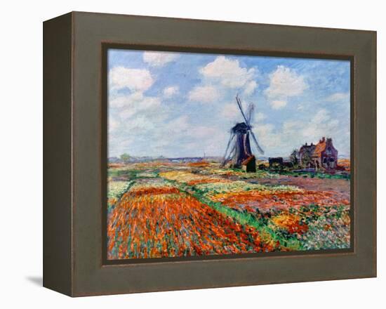 Monet: Tulip Fields, 1886-Claude Monet-Framed Premier Image Canvas