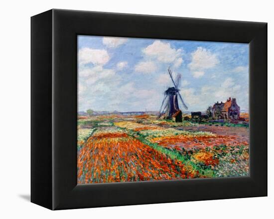 Monet: Tulip Fields, 1886-Claude Monet-Framed Premier Image Canvas
