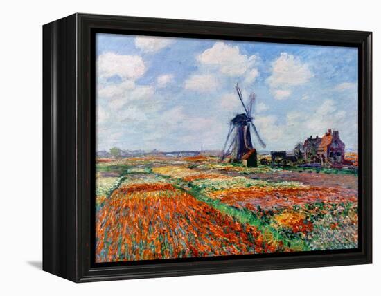 Monet: Tulip Fields, 1886-Claude Monet-Framed Premier Image Canvas