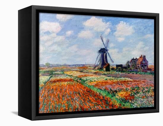 Monet: Tulip Fields, 1886-Claude Monet-Framed Premier Image Canvas