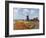 Monet: Tulip Fields, 1886-Claude Monet-Framed Premium Giclee Print