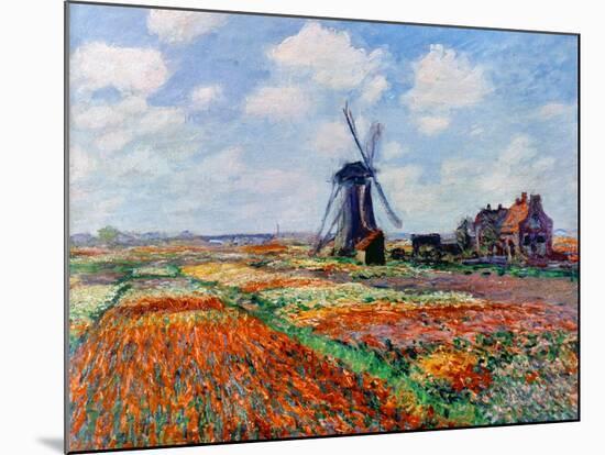 Monet: Tulip Fields, 1886-Claude Monet-Mounted Giclee Print