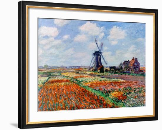 Monet: Tulip Fields, 1886-Claude Monet-Framed Giclee Print