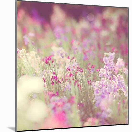 Monet-Myan Soffia-Mounted Photographic Print