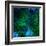 Monets Pool II-Doug Chinnery-Framed Premium Photographic Print