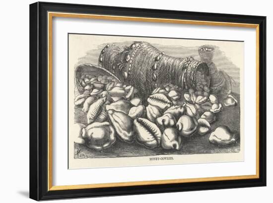 Money-Cowries-J.g. Wood's-Framed Art Print