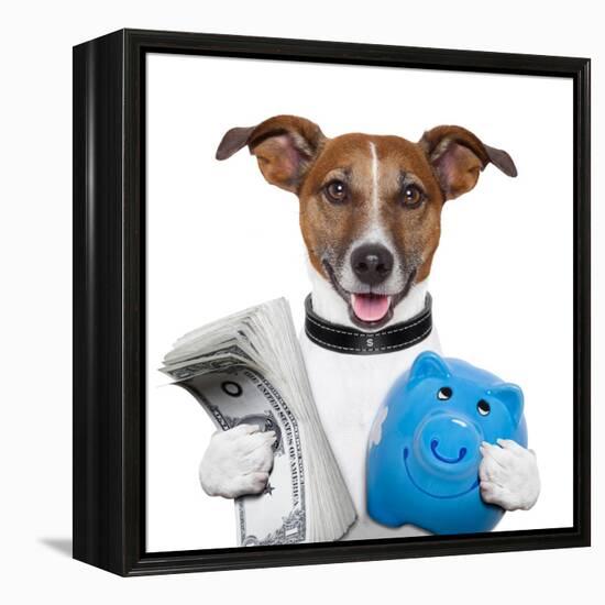 Money Dog-Javier Brosch-Framed Premier Image Canvas