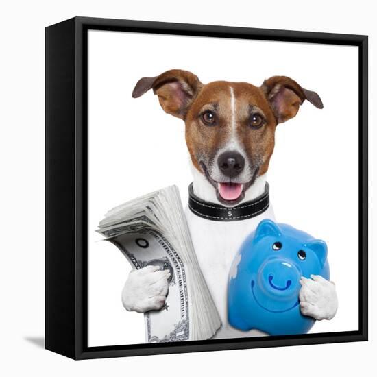 Money Dog-Javier Brosch-Framed Premier Image Canvas