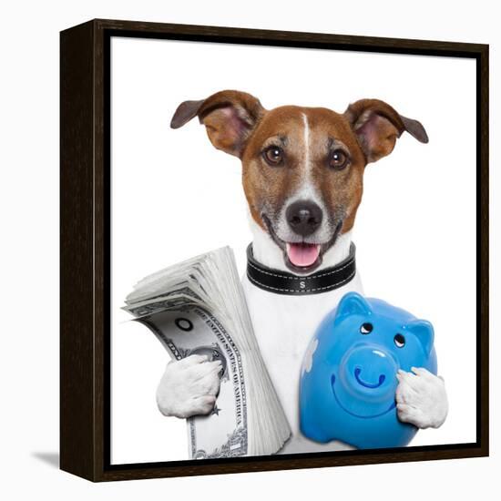 Money Dog-Javier Brosch-Framed Premier Image Canvas