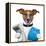 Money Dog-Javier Brosch-Framed Premier Image Canvas