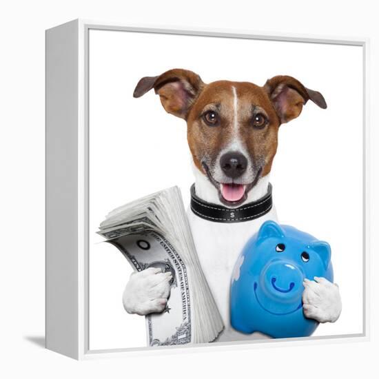 Money Dog-Javier Brosch-Framed Premier Image Canvas